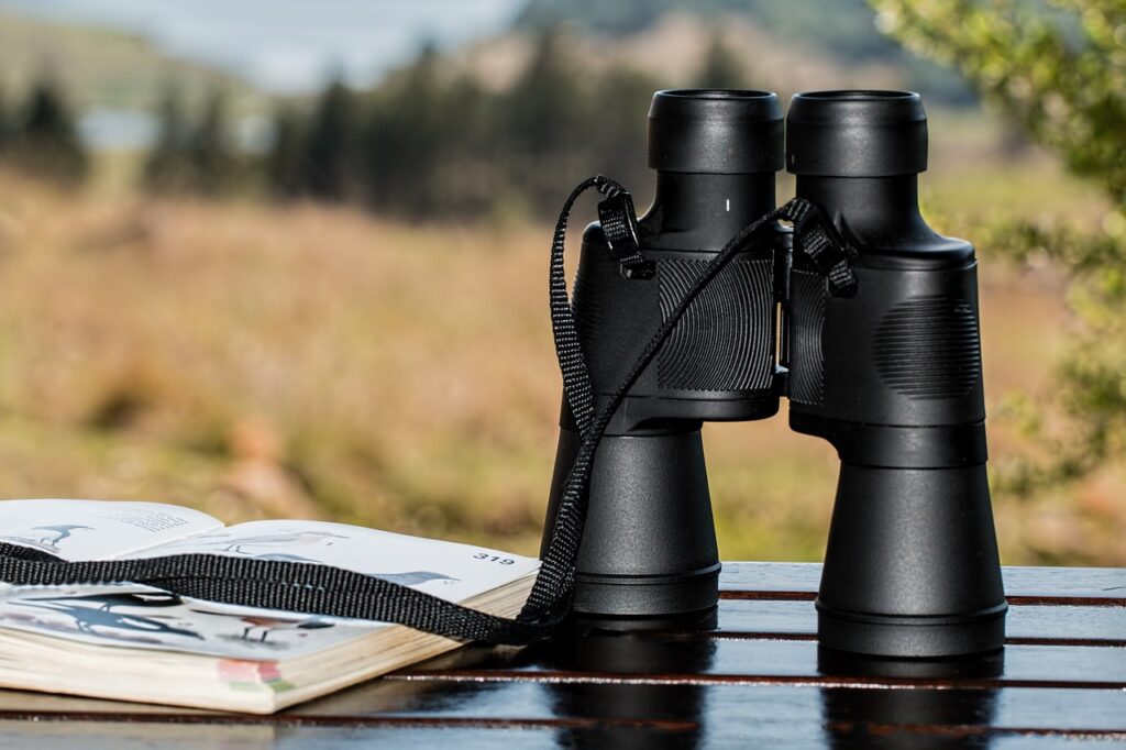Choose binoculars for hiking, binoculars, birdwatching, spy glass-995779.jpg