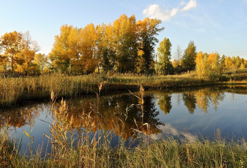 autumn, river, landscape-83808.jpg